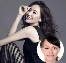 所有明星的照片,揭秘娱乐圈明星们的风采瞬间