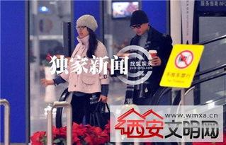 何晟铭整容前照片,揭秘何晟铭整容前后的惊人蜕变